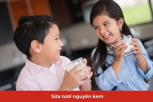 Sữa Chua Nguyên Kem Cho Bé Sữa Chua Nguyên Kem Cho Bé