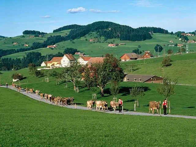 Switzerland Là Nước Gì Switzerland Là Nước Gì