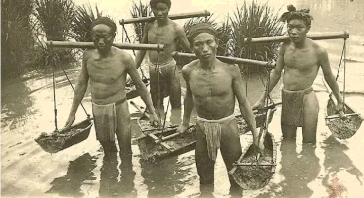 Tá Điền Là Gì