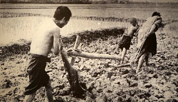 Tá Điền Là Gì