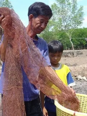 Tá Điền Là Gì