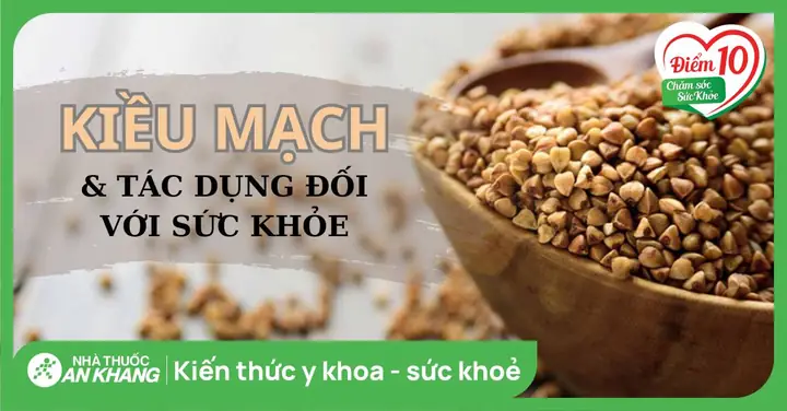 Tác Dụng Của Hạt Kiều Mạch Tác Dụng Của Hạt Kiều Mạch