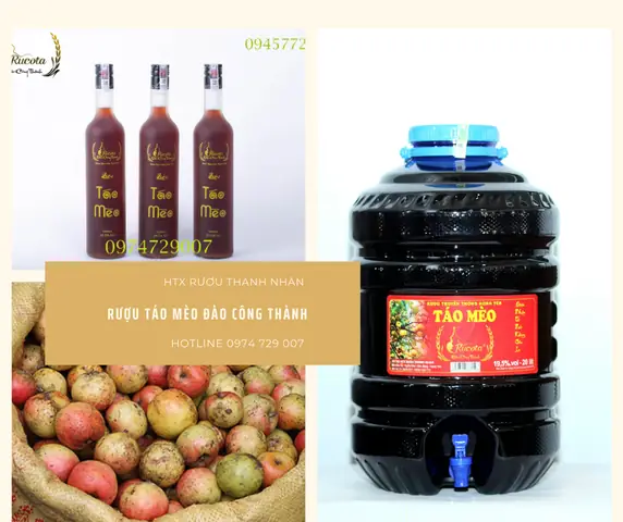 Rượu Táo Mèo: Tác Dụng Bổ Sung Sức Khỏe Và Cách Dùng Đúng Rượu Táo Mèo: Tác Dụng Bổ Sung Sức Khỏe Và Cách Dùng Đúng