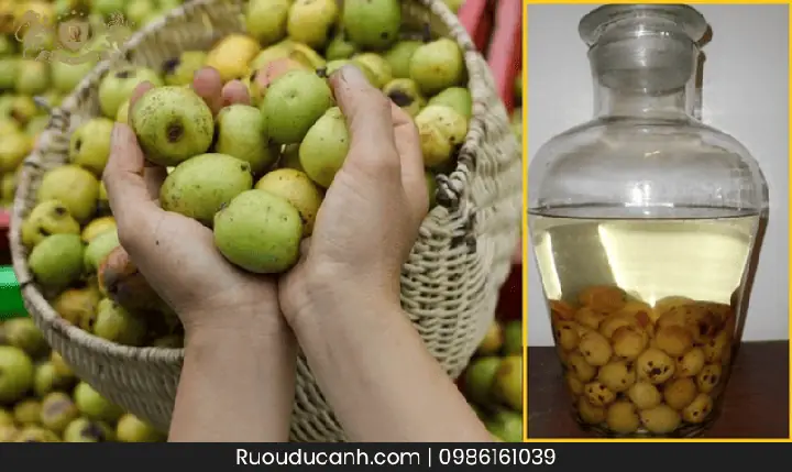 Rượu Táo Mèo: Tác Dụng Bổ Sung Sức Khỏe Và Cách Dùng Đúng Rượu Táo Mèo: Tác Dụng Bổ Sung Sức Khỏe Và Cách Dùng Đúng