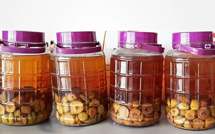 Rượu Táo Mèo: Tác Dụng Bổ Sung Sức Khỏe Và Cách Dùng Đúng Rượu Táo Mèo: Tác Dụng Bổ Sung Sức Khỏe Và Cách Dùng Đúng