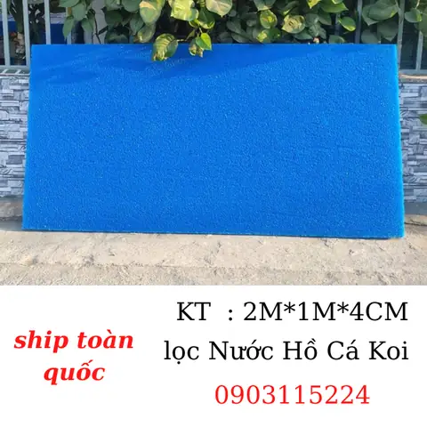 Tấm Lọc Nước Hồ Cá Koi Tấm Lọc Nước Hồ Cá Koi