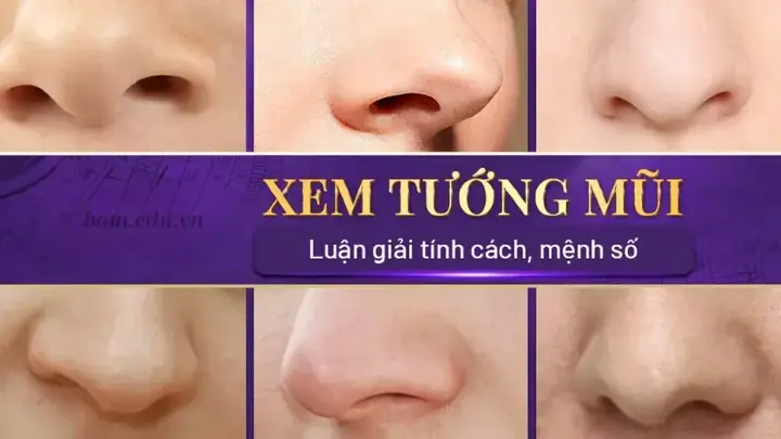 Tất Cả Tướng Mũi
