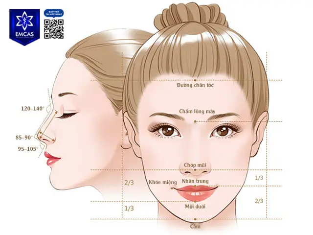 Tất Cả Tướng Mũi