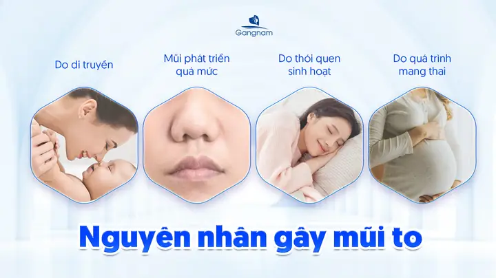 Thế Nào Là Tướng Mũi Xấu Thế Nào Là Tướng Mũi Xấu