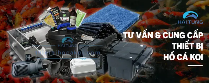 Thiết Bị Hồ Cá Koi Thiết Bị Hồ Cá Koi