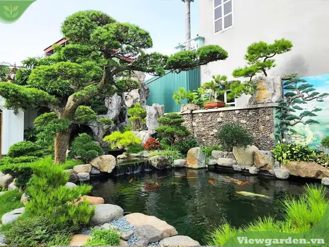 Thiết Kế Bể Cá Koi