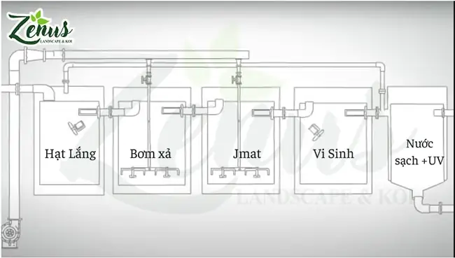 Thiết Kế Bể Lọc Cá Koi Thiết Kế Bể Lọc Cá Koi