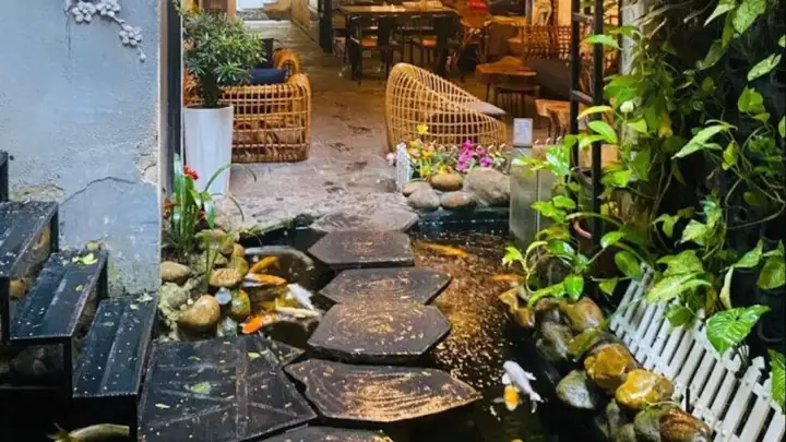 Trại Cá Koi Nha Trang Trại Cá Koi Nha Trang