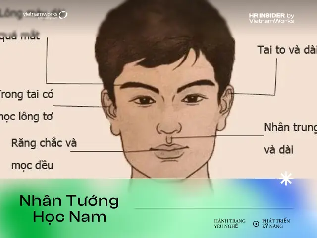Tử Vi Tướng Mặt Tròn Bự Tử Vi Tướng Mặt Tròn Bự