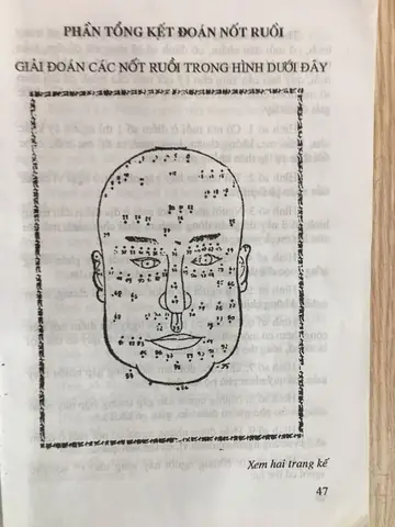 Tử Vi Tướng Số Trọn Đời Tử Vi Tướng Số Trọn Đời