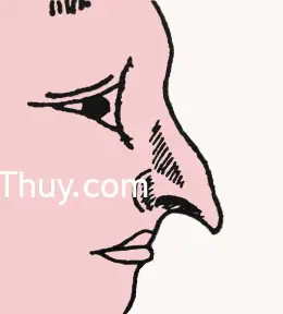 Tướng Mắt Chim Ưng Tướng Mắt Chim Ưng