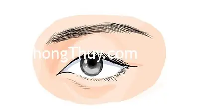 Tướng Mắt Chim Ưng Tướng Mắt Chim Ưng