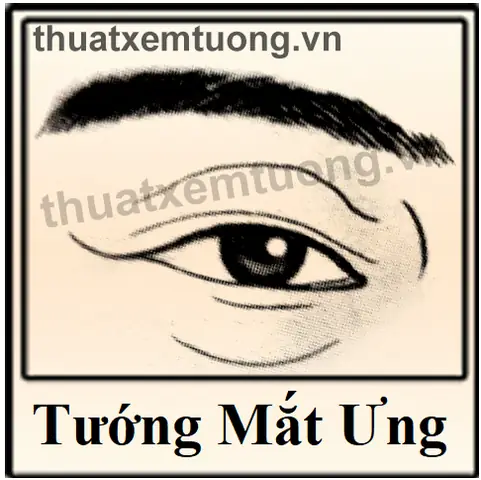 Tướng Mắt Chim Ưng Tướng Mắt Chim Ưng