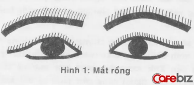 Tướng Mắt Cú Vọ Tướng Mắt Cú Vọ