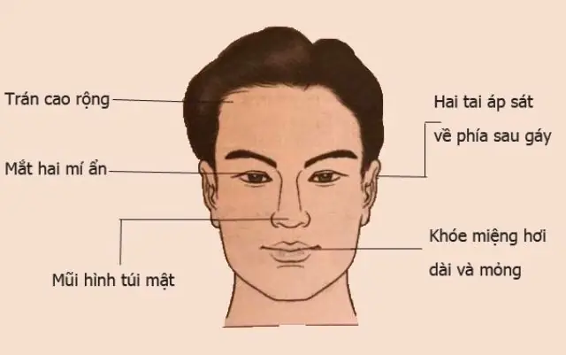 Tướng Mặt Đàn Ông Chung Tình Tướng Mặt Đàn Ông Chung Tình