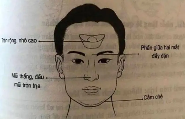 Tướng Mặt Đàn Ông Chung Tình Tướng Mặt Đàn Ông Chung Tình