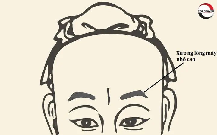 Tướng Mặt Đàn Ông Đểu Tướng Mặt Đàn Ông Đểu