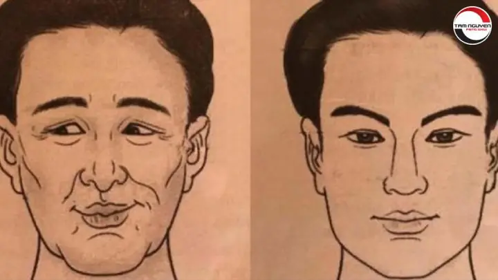 Tướng Mặt Đàn Ông Đểu Tướng Mặt Đàn Ông Đểu