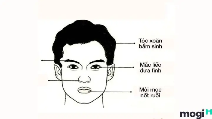 Tướng Mặt Đàn Ông Đểu Tướng Mặt Đàn Ông Đểu