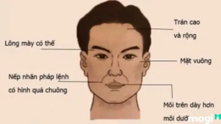 Tướng Mặt Đàn Ông Đểu Tướng Mặt Đàn Ông Đểu
