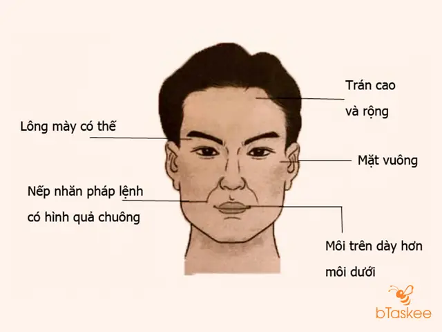 Tướng Mặt Đàn Ông Lãnh Đạo Tướng Mặt Đàn Ông Lãnh Đạo