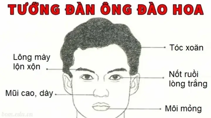 Tướng Mặt Đào Hoa Tướng Mặt Đào Hoa