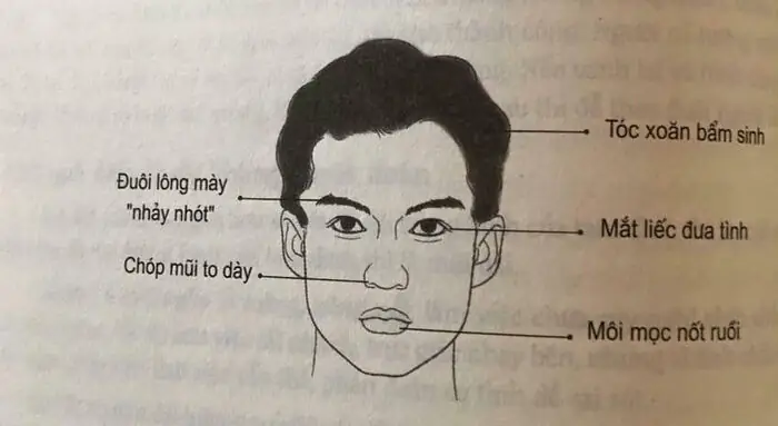 Tướng Mặt Đào Hoa Tướng Mặt Đào Hoa