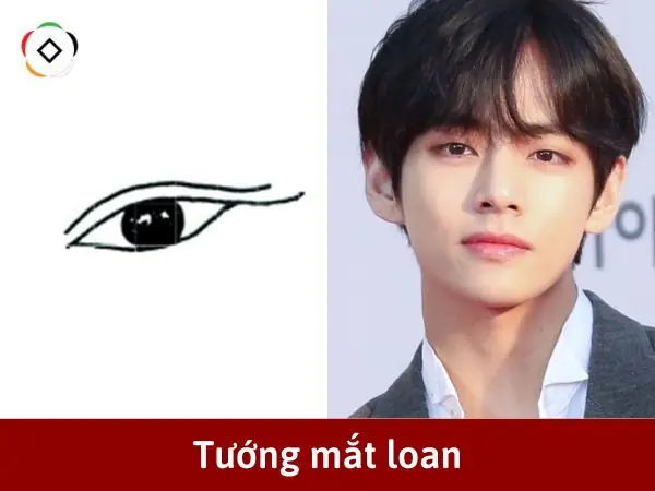Tướng Mắt Loan Nhãn Tướng Mắt Loan Nhãn