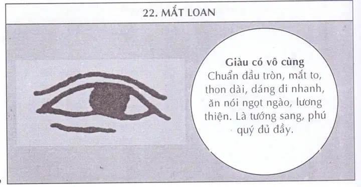 Tướng Mắt Loan Nhãn Tướng Mắt Loan Nhãn