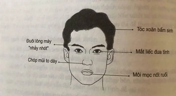 Tướng Mặt Người Đào Hoa