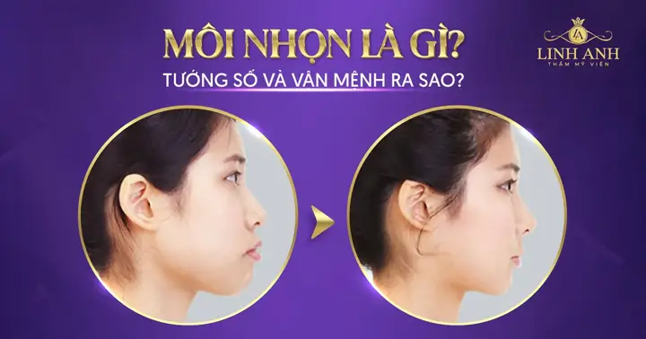 Tướng Mặt Người Miệng Nhọn Tướng Mặt Người Miệng Nhọn