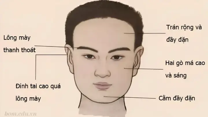 Tướng Mặt Người Thông Minh