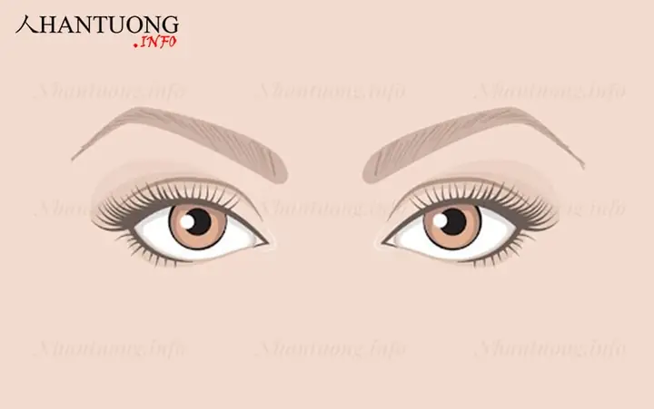 Tướng Mắt Nhiều Lòng Trắng