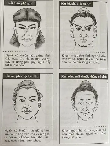 Tướng Mặt Nhỏ Người To Tướng Mặt Nhỏ Người To