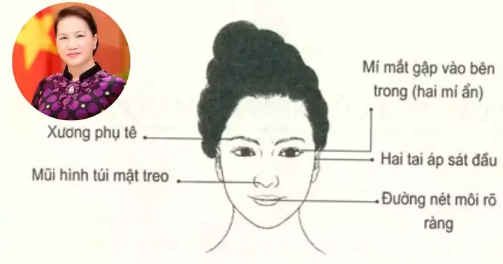 Tướng Mặt Phụ Nữ Lãnh Đạo Tướng Mặt Phụ Nữ Lãnh Đạo