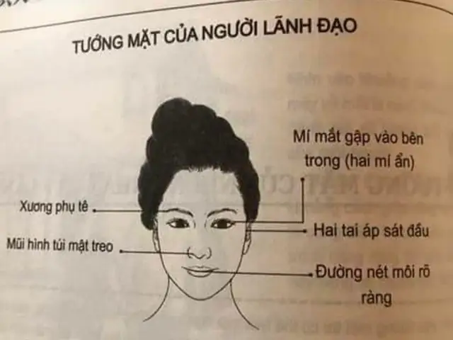 Tướng Mặt Phụ Nữ Thông Minh Tướng Mặt Phụ Nữ Thông Minh