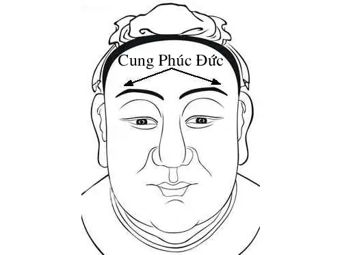 Tướng Mặt Phúc Đức Tướng Mặt Phúc Đức