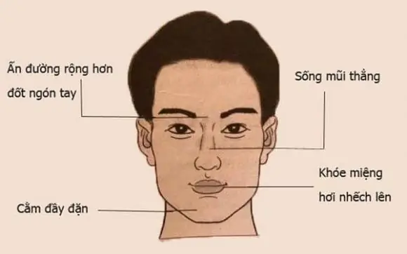 Tướng Mặt Phúc Hậu Tướng Mặt Phúc Hậu