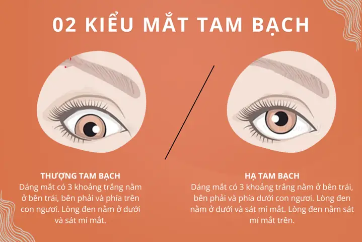 Tướng Mắt Tam Bạch Tướng Mắt Tam Bạch