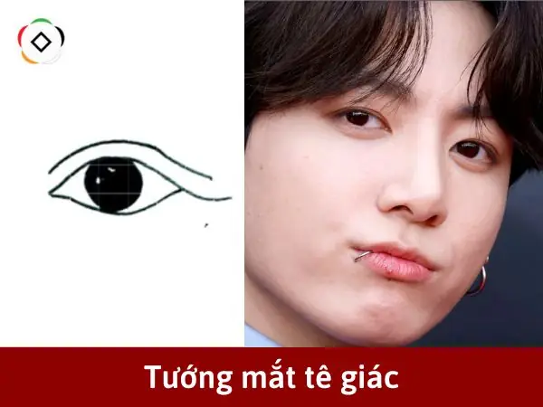 Tướng Mắt Tê Giác Tướng Mắt Tê Giác