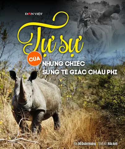 Tướng Mắt Tê Giác Tướng Mắt Tê Giác