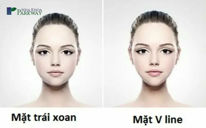 Tướng Mặt Trái Xoan Tướng Mặt Trái Xoan