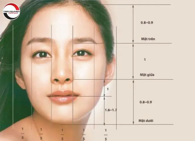 Tướng Mặt Trái Xoan Tướng Mặt Trái Xoan