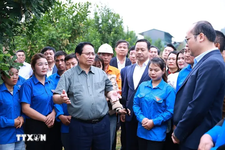 Tướng Mặt Vát Làm Quan