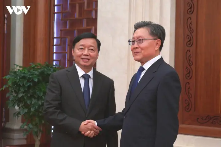 Tướng Mắt Viên Nhãn Tướng Mắt Viên Nhãn